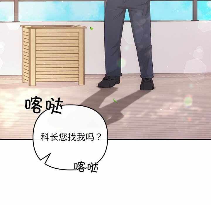 第13张