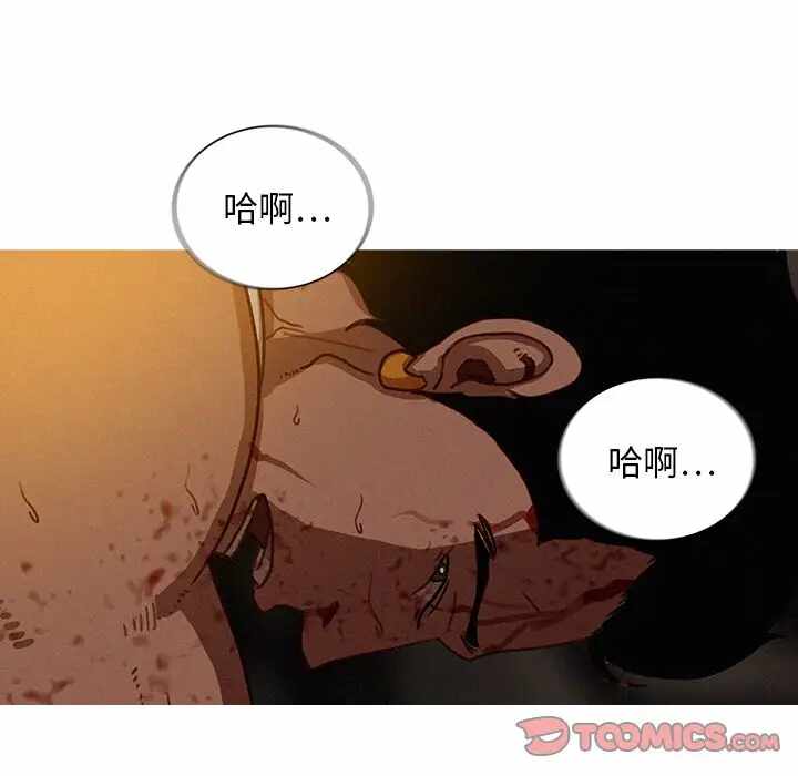 第61张