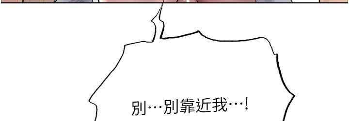 第132张