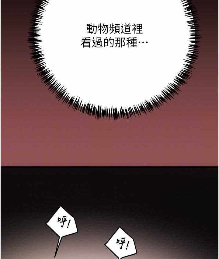 第88张