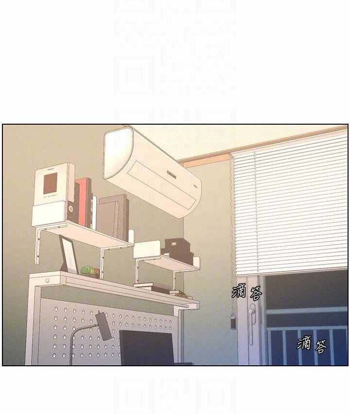 第42张