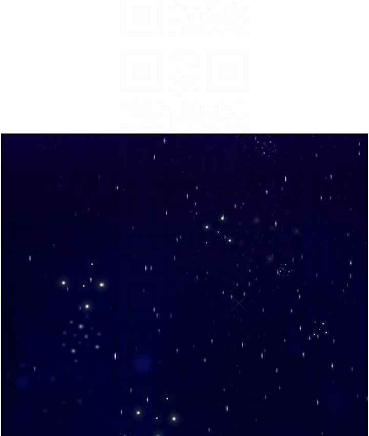 第42张