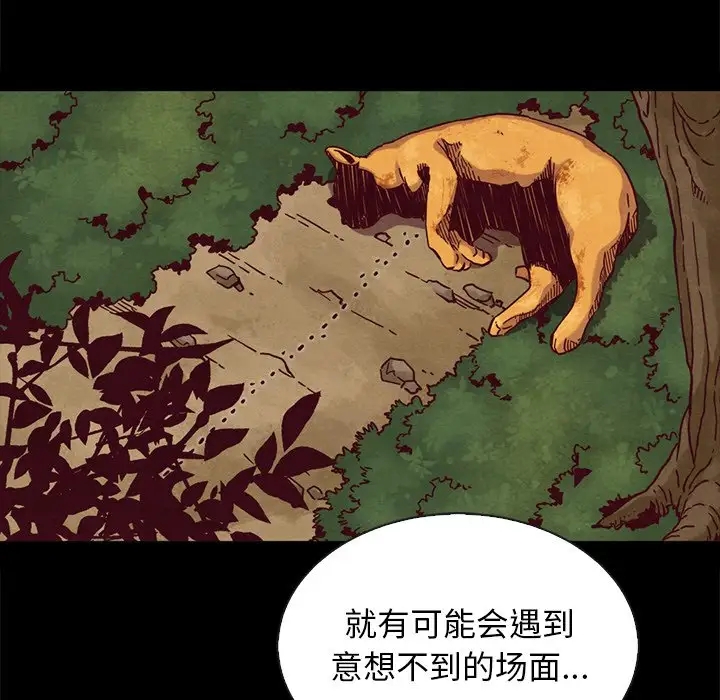 第34张