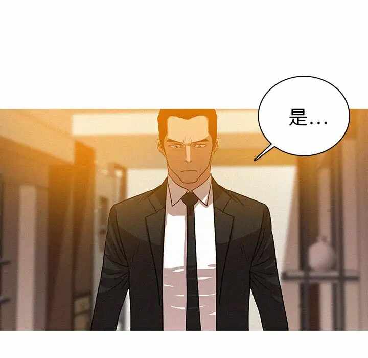 第45张