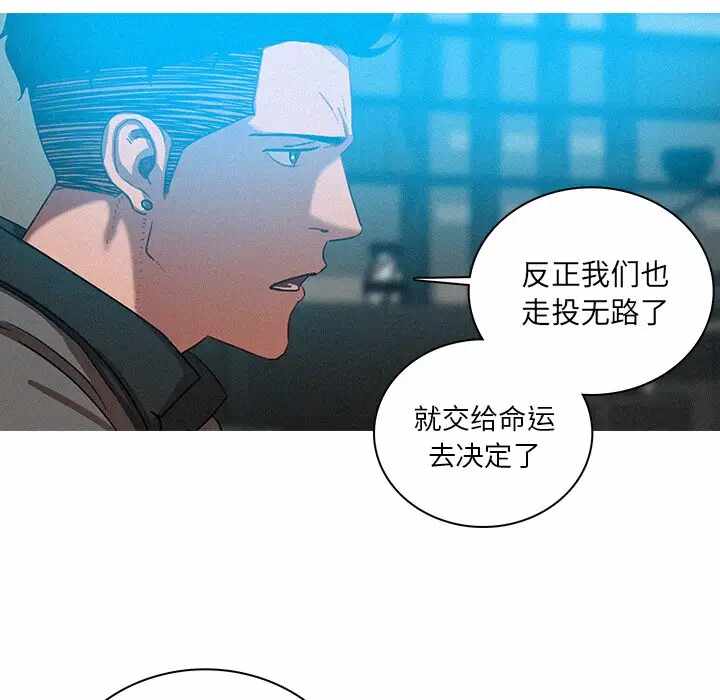 第25张