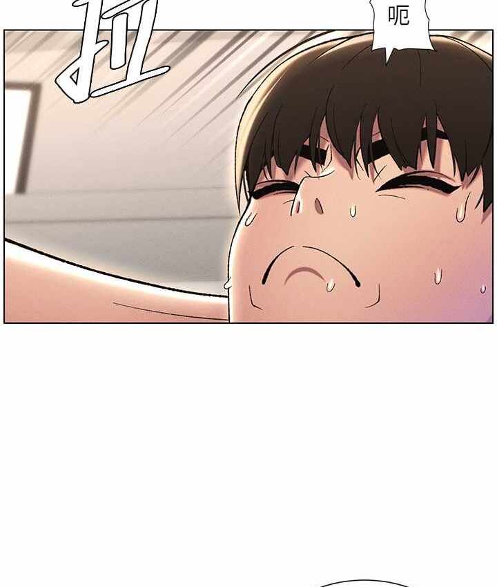 第66张