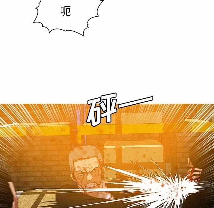 第24张