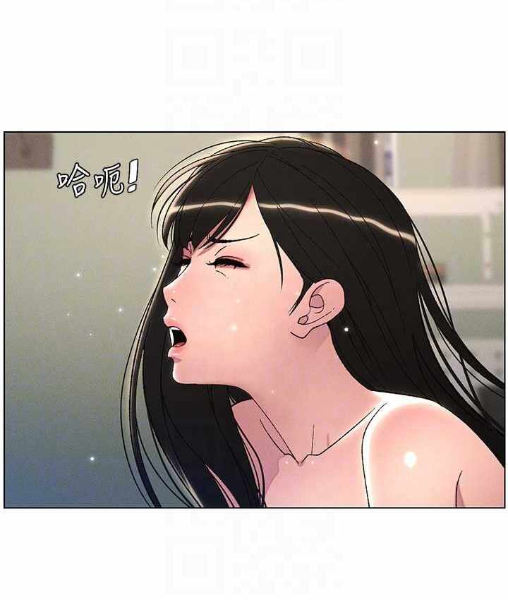 第7张