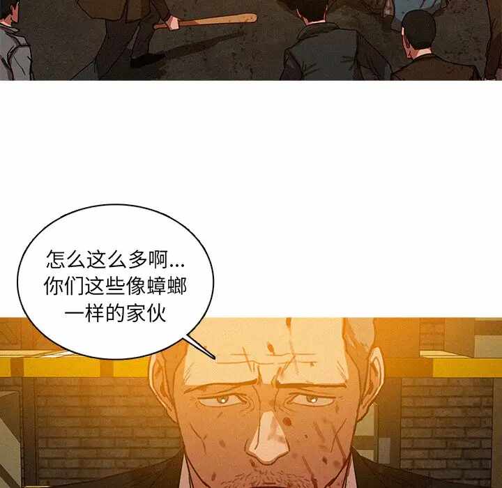 第31张