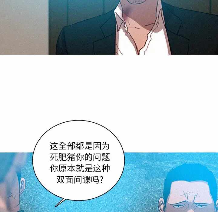 第21张