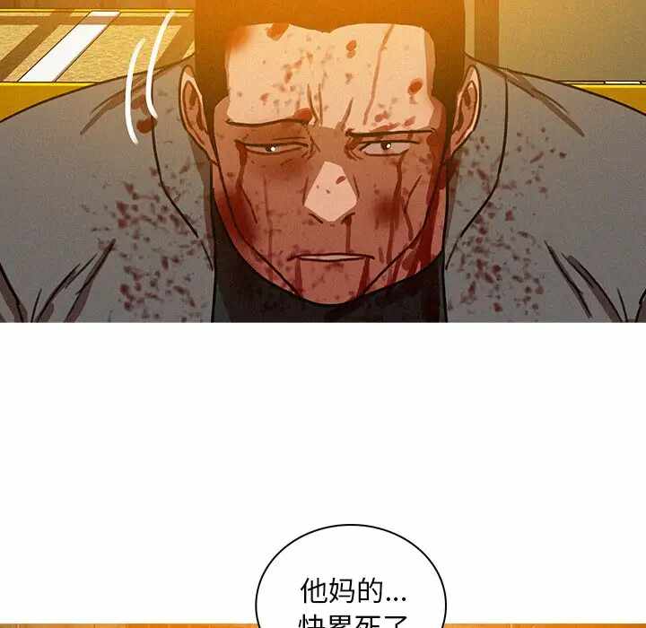 第37张