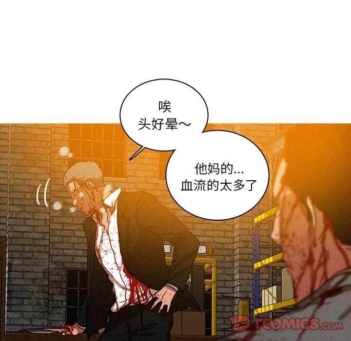 第41张