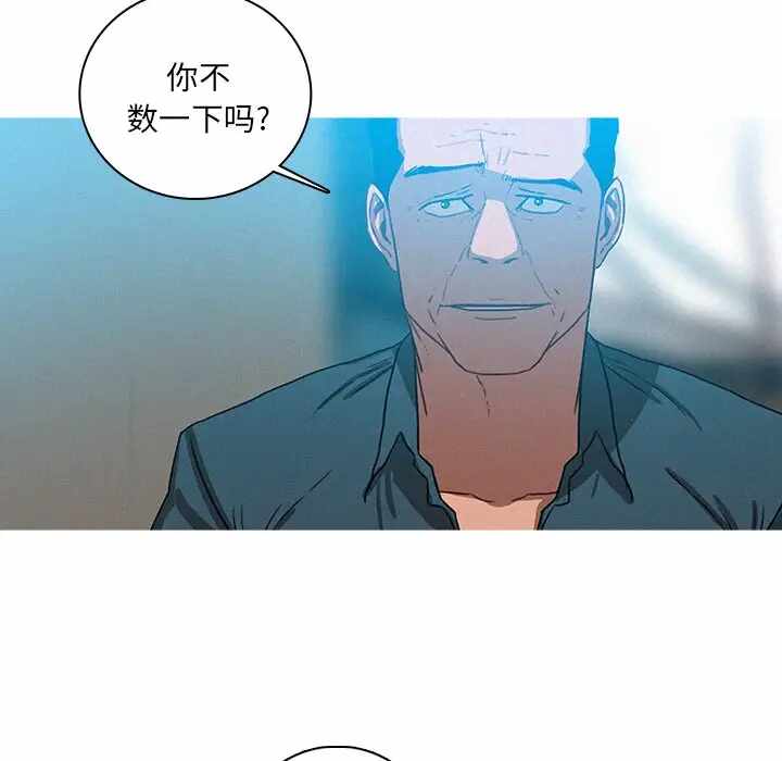 第41张