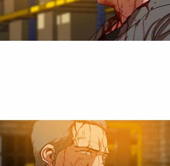 第51张