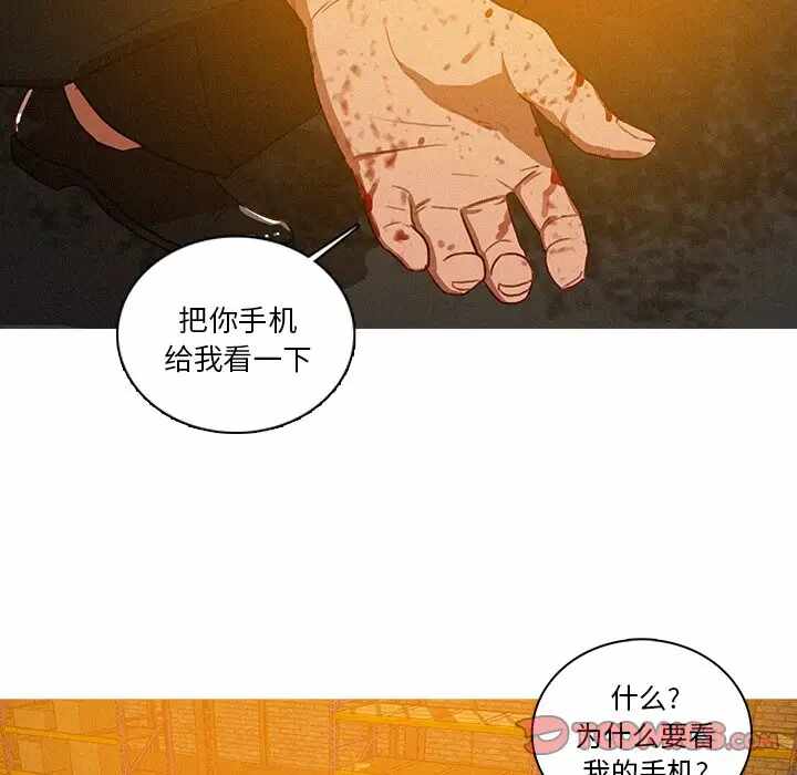 第53张