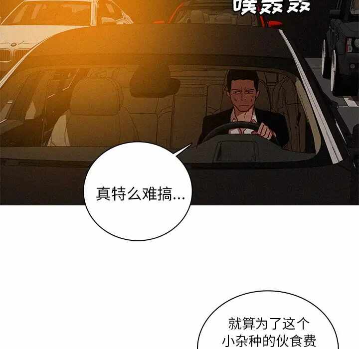 第71张