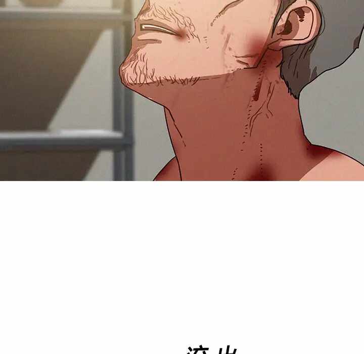 第64张
