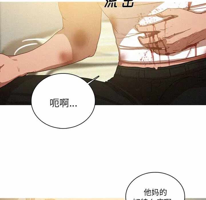 第65张