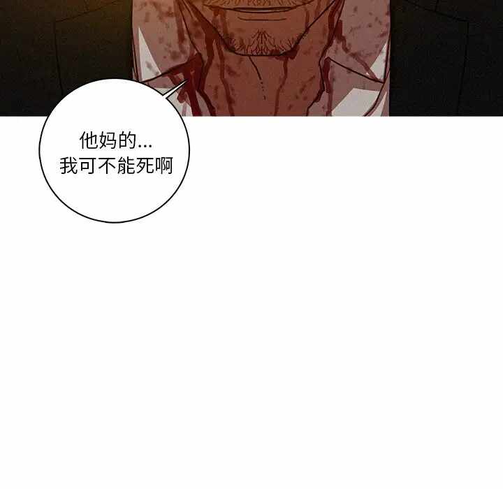 第76张