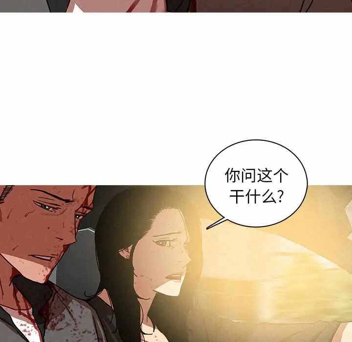 第66张