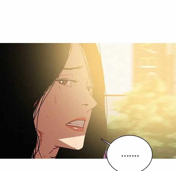 第73张
