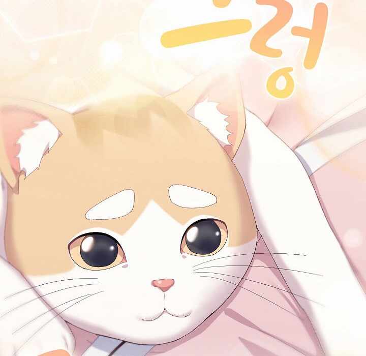 第35张