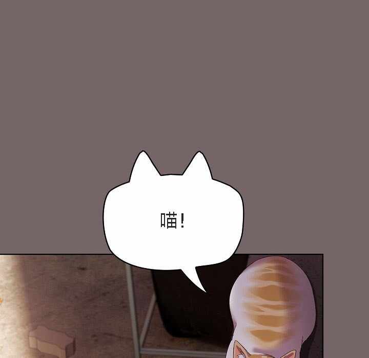第41张