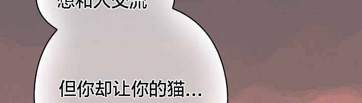 第229张