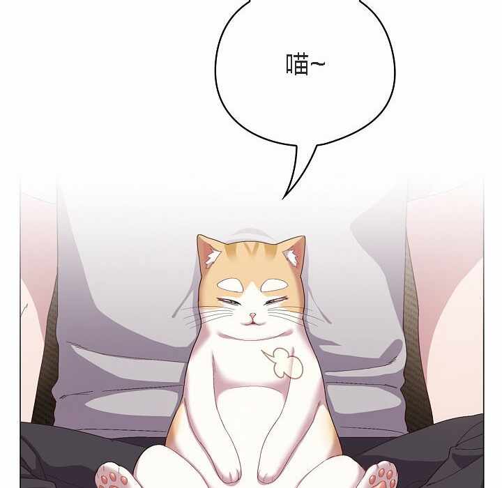 第43张