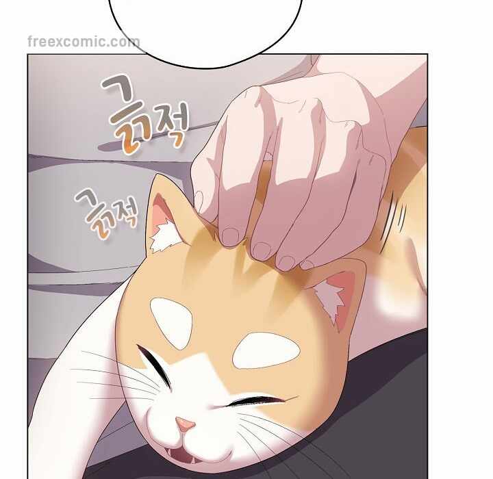第148张