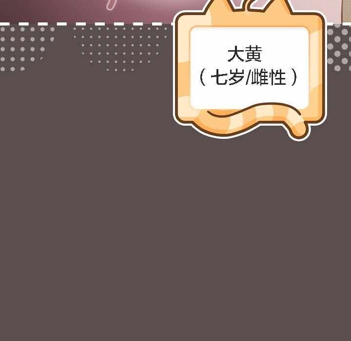 第55张
