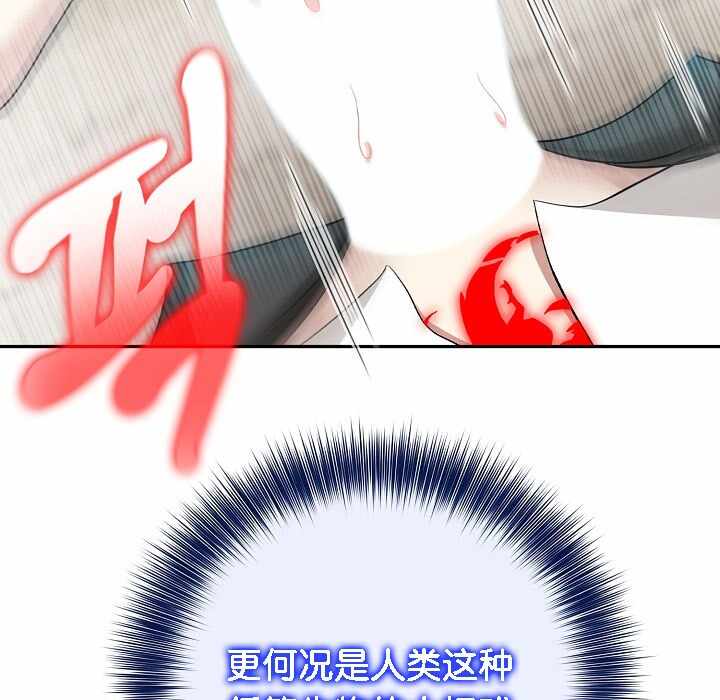 第152张
