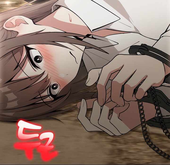 第113张