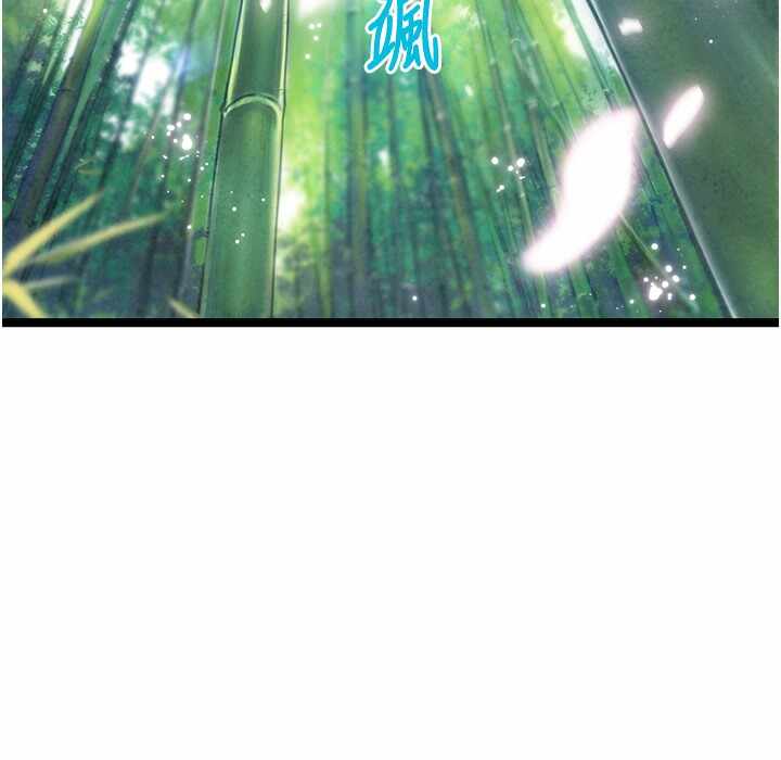 第3张