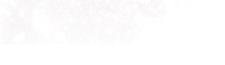 第17张