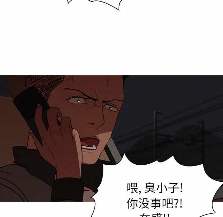 第41张