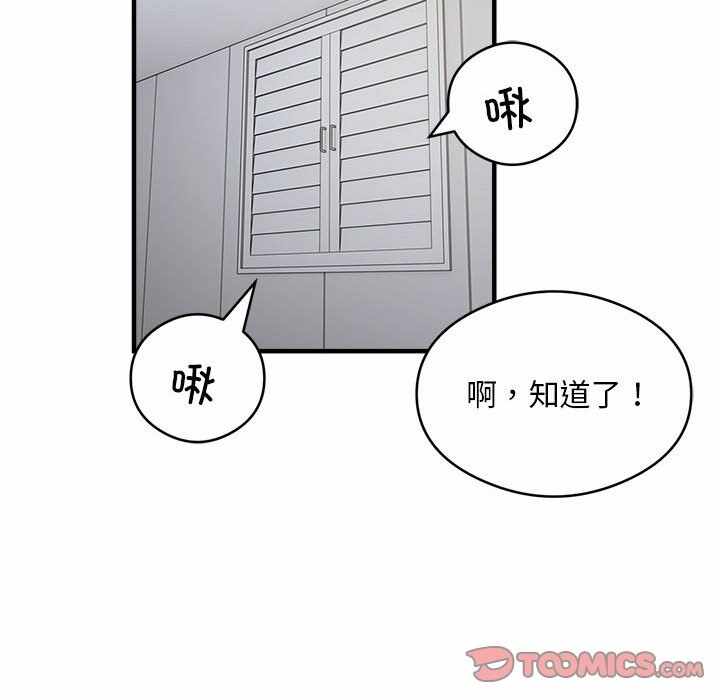 第55张