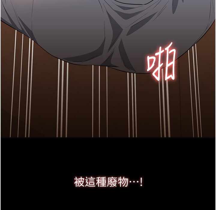 第213张