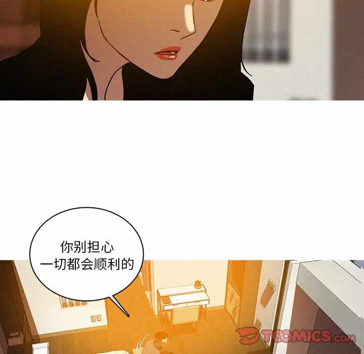 第42张