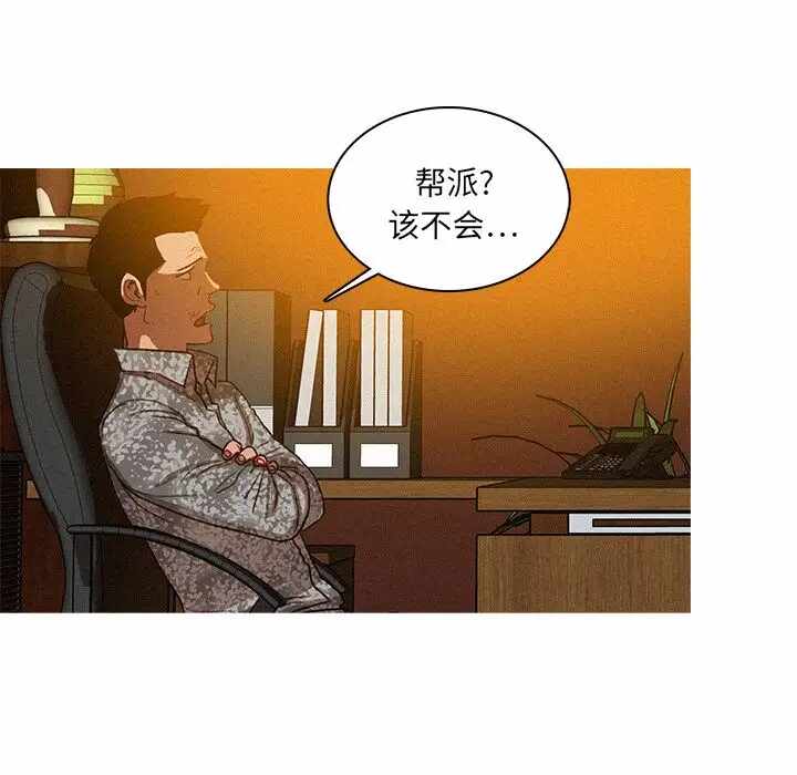 第19张