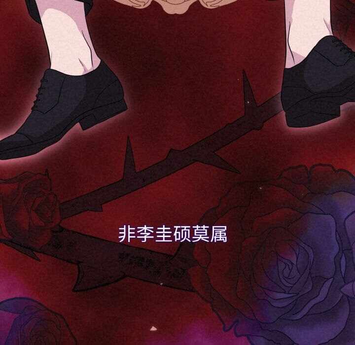 第96张