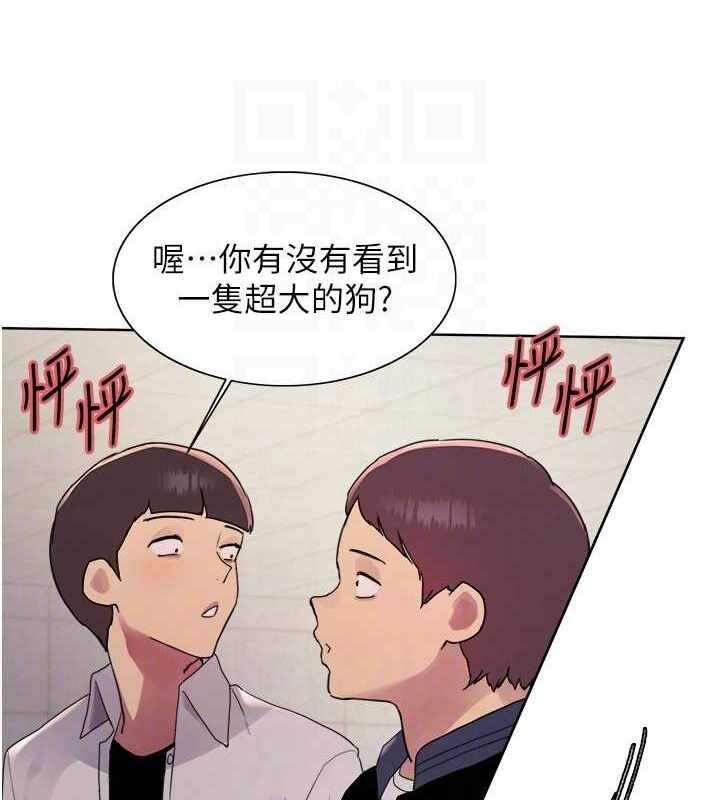 第110张