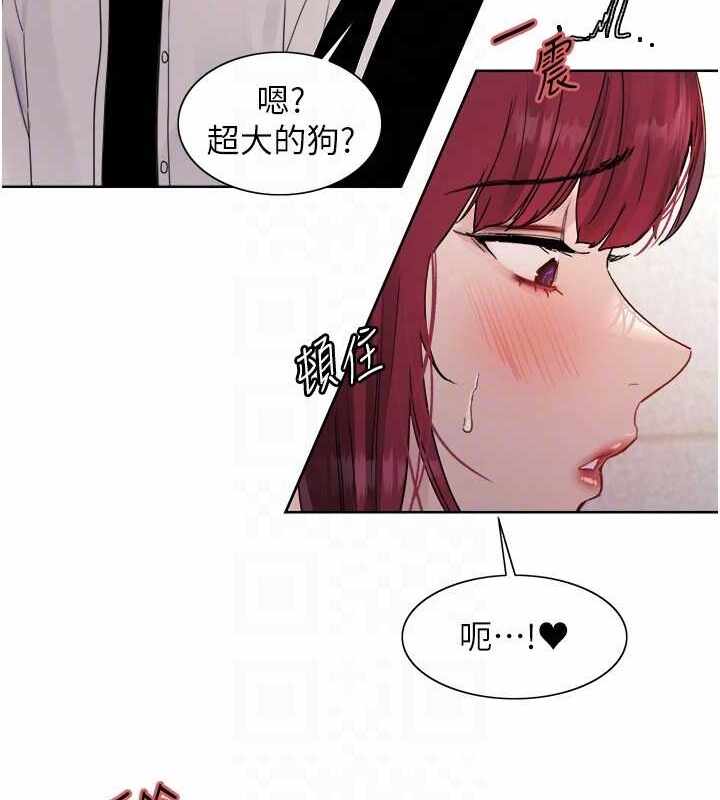 第111张