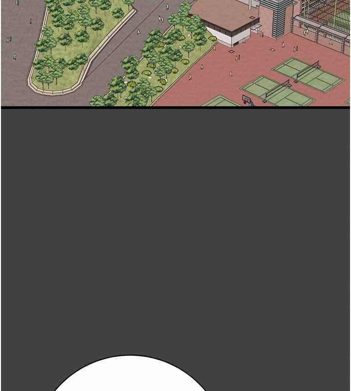 第37张
