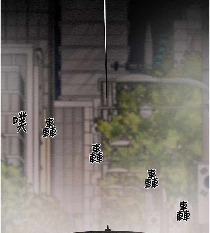 第223张