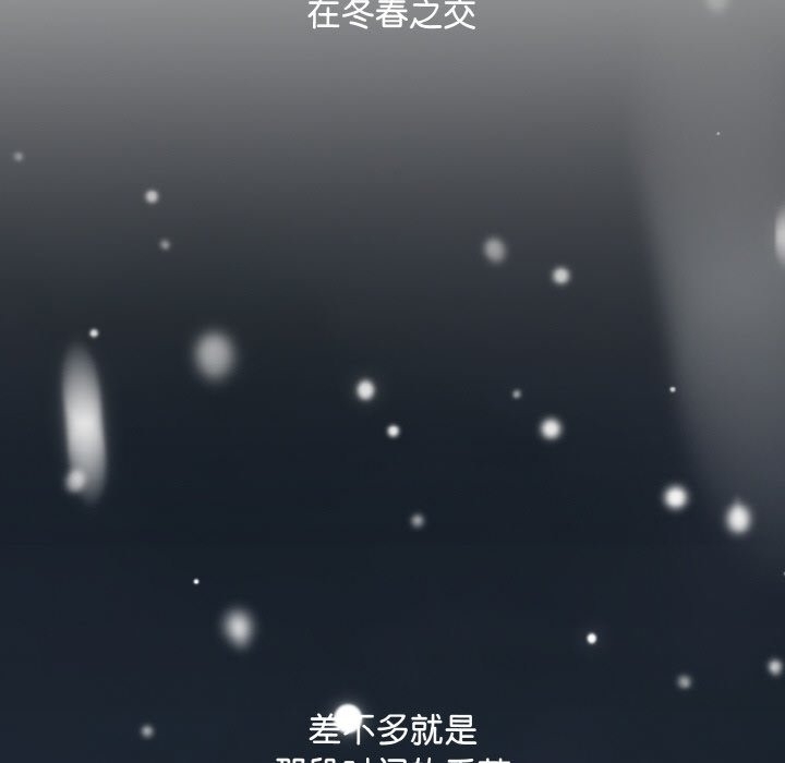 第77张