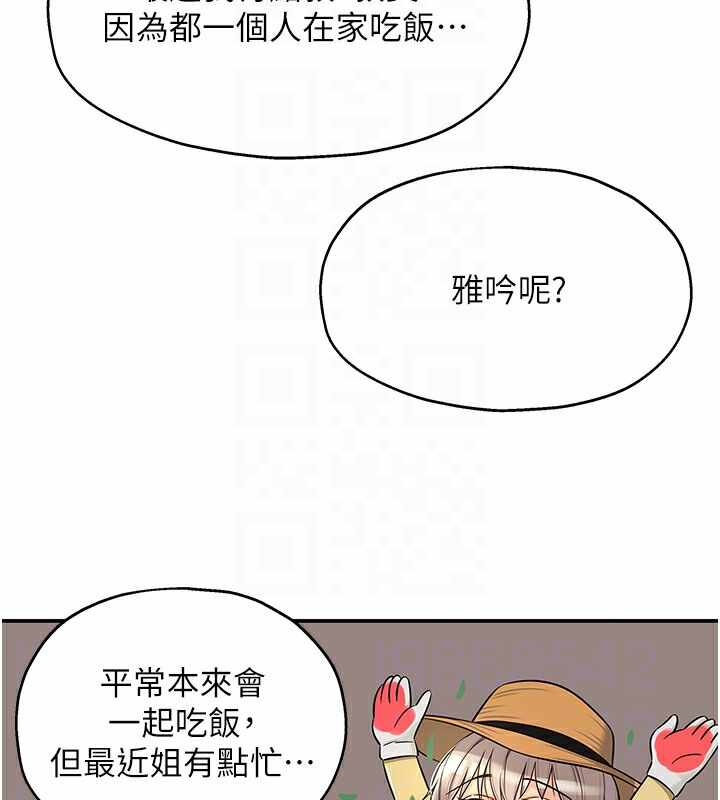 第36张