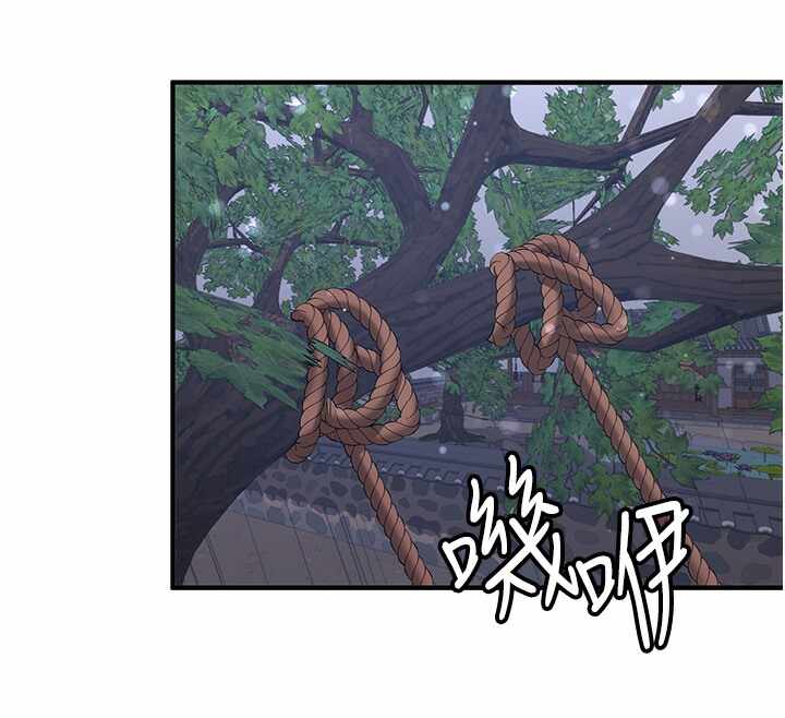 第53张