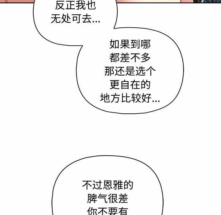 第42张