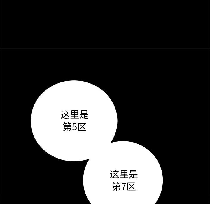 第37张